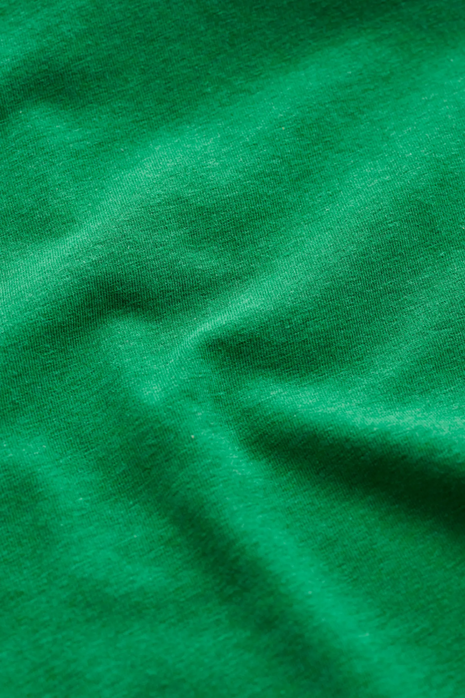 Easel Long Sleeve Jersey Top (Gots)