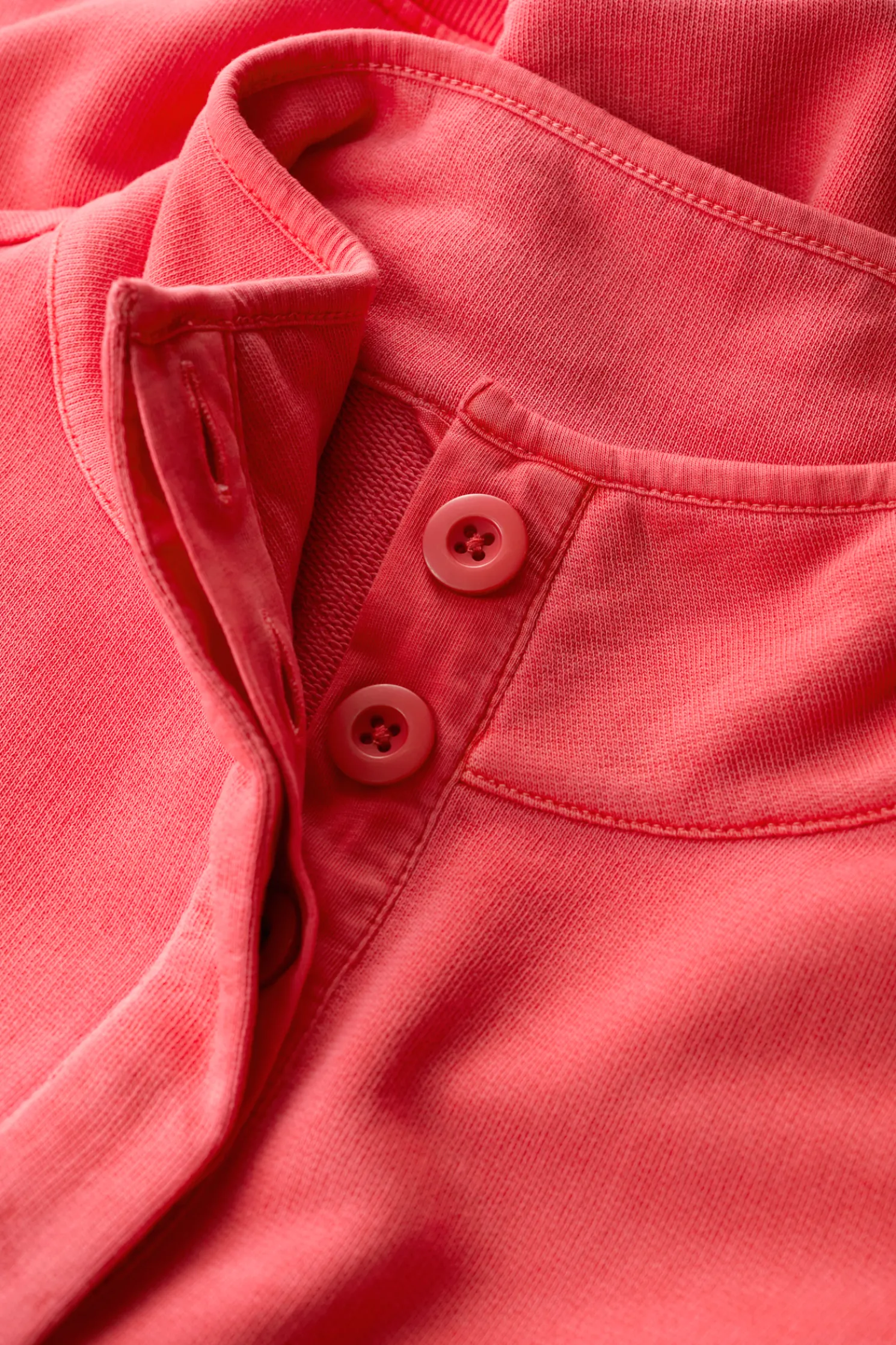 Greenshank Organic Cotton Collared Sweatshirt