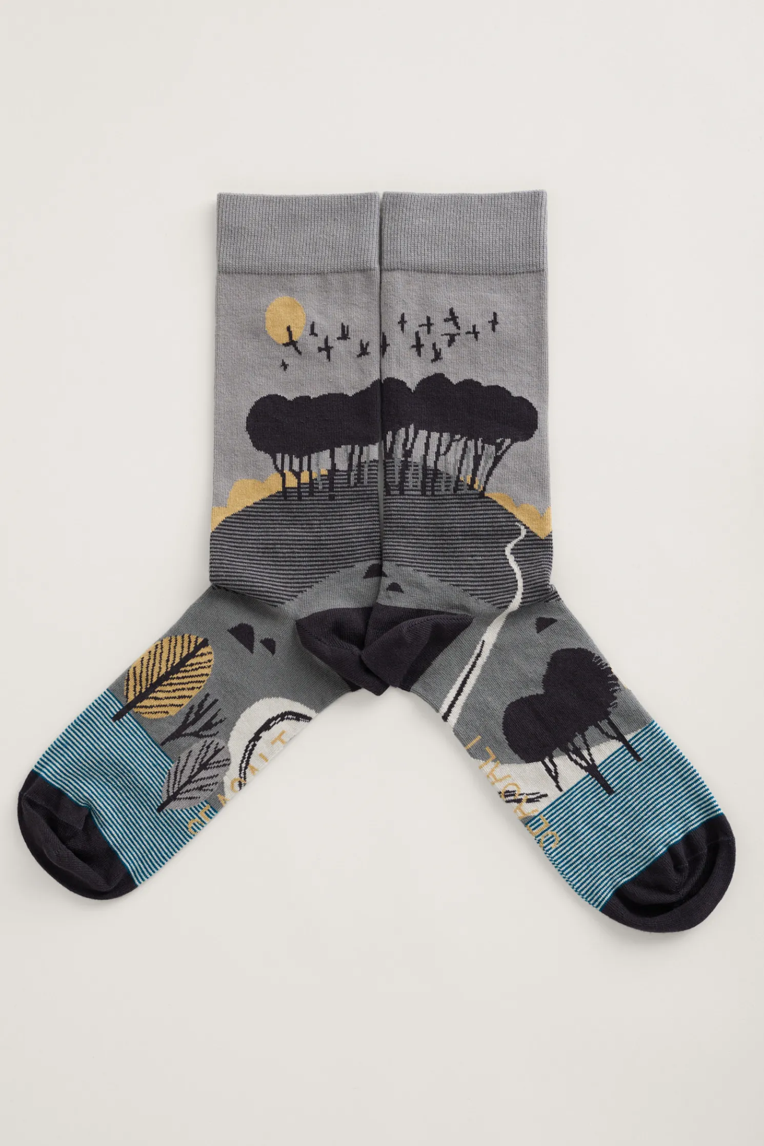 Men's Postcard Socks