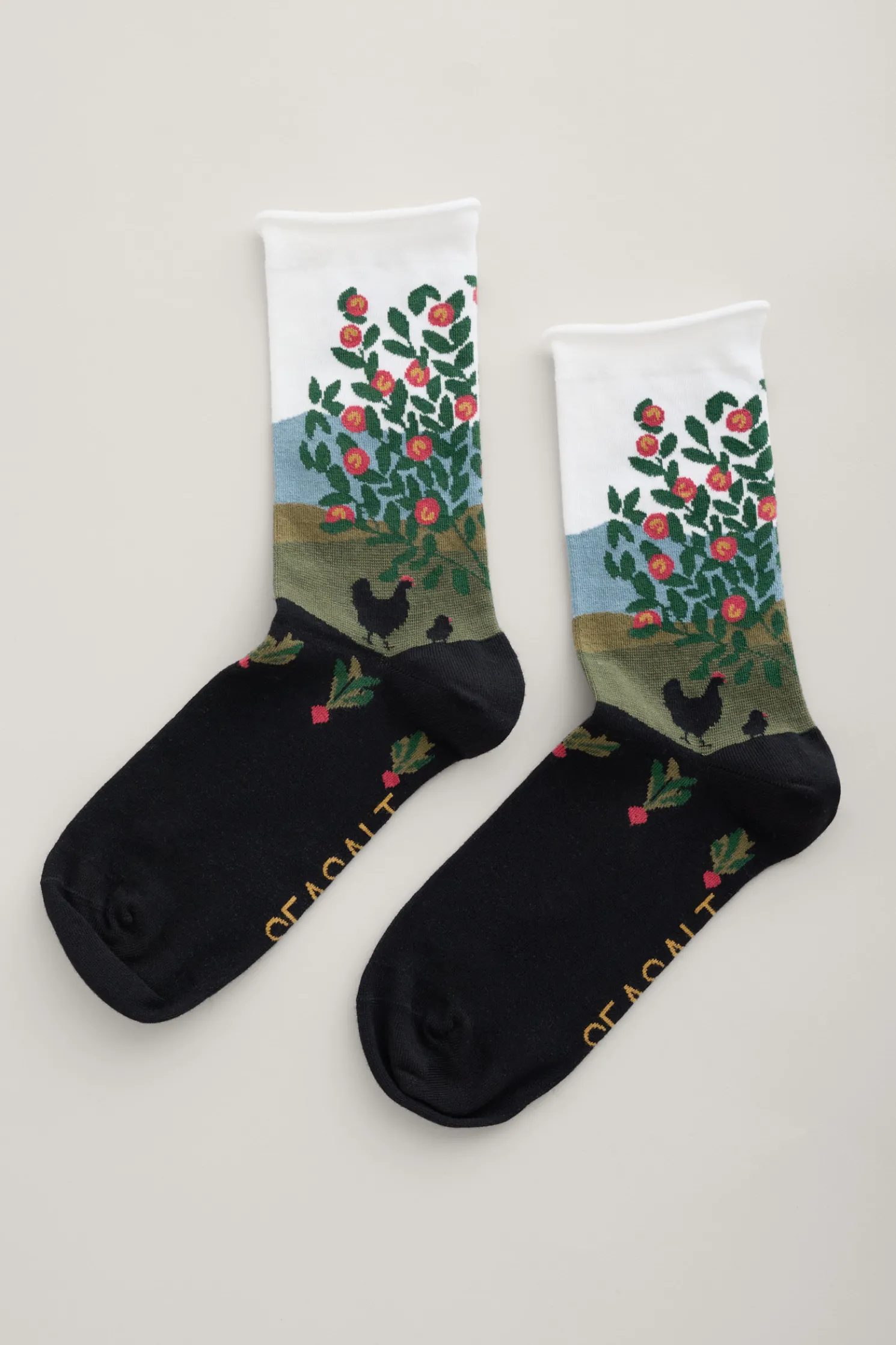 Women's Postcard Organic Cotton Socks